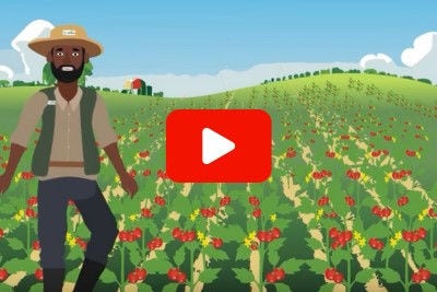 Crop Rotation Video