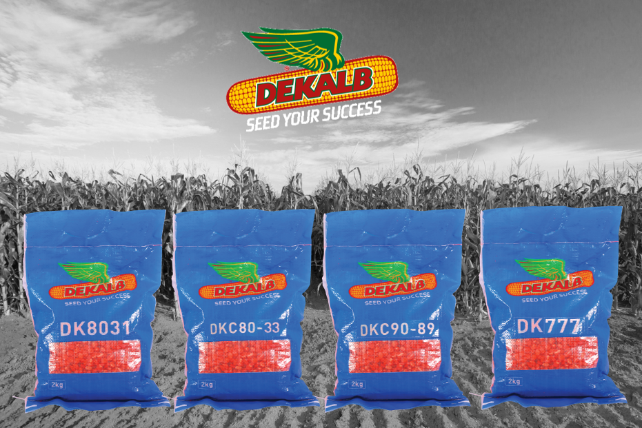 DeKalb Corn